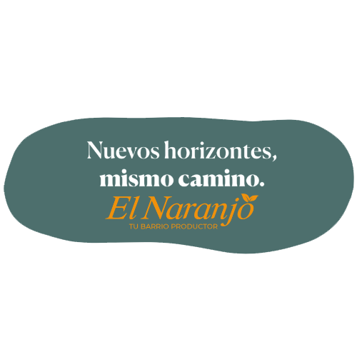 Descripción de la imagen